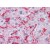 Liver: Formalin-Fixed, Paraffin-Embedded (FFPE)