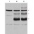Western blot using affinity purified anti-C-Myb antibody in Cos7 cell lysates: Lane 1: vector; Lane 2: transfected with c-myb, no treatment; Lane 3: transfected with c-Myb and heat stress-treated (incubation at 42οC for 30 minutes) to induce c-Myb modification. Lane 3 shows detection of bands at 75, 98, and 125kDa corresponding to overexpressed c-Myb (arrows): wild-type, with one attached SUMO molecule, and with two attached SUMO molecules, respectively. Nitrocellulose 0.45µm membrane was blocked for 1 hr at RT in 10% BLOTTO in PBS. The primary antibody was used at 1:500.