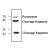Western Blot analysis of MMP13 expression with Jurkat Cell Lysate.