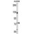 Western blot analysis of MCAM Antibody (Center) (AP18112PU-N) in A2058 cell line lysates (35ug/lane). MCAM (arrow) was detected using the purified Pab.(2ug/ml)
