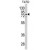Western blot analysis of LTA4H Antibody (Center) (AP18103PU-N) in T47D cell line lysates (35ug/lane). LTA4H (arrow) was detected using the purified Pab.
