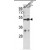Western blot analysis of CEP55 Antibody (N-term) (AP17941PU-N) in MDA-MB231, T47D cell line lysates (35ug/lane). CEP55 (arrow) was detected using the purified Pab.