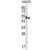 Western blot analysis of AGPAT3 Antibody (Center) (AP17874PU-N) in A2058 cell line lysates (35ug/lane). AGPAT3 (arrow) was detected using the purified Pab.