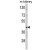 Western blot analysis of WSB2 Antibody (C-term) (AP17836PU-N) in mouse kidney tissue lysates (35ug/lane). WSB2 (arrow) was detected using the purified Pab.