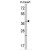 Western blot analysis of WNT1 Antibody (C-term) (AP17833PU-N) in mouse heart tissue lysates (35ug/lane). WNT1 (arrow) was detected using the purified Pab.