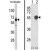 (LEFT) Western blot analysis of PHGDH Antibody (N-term) (AP17635PU-N) in mouse brain tissue lysates (35ug/lane). PHGDH (arrow) was detected using the purified Pab. (RIGHT) Western blot analysis of PHGDH (arrow) using rabbit polyclonal PHGDH Antibody (N-term) (AP17635PU-N). 293 cell lysates (2 ug/lane) either nontransfected (Lane 1) or transiently transfected with the PHGDH gene (Lane 2) .