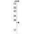 Western blot analysis of MOBKL1B antibody (C-term) (AP17563PU-N) in A2058 cell line lysates (35ug/lane). MOBKL1B (arrow) was detected using the purified Pab.