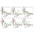 Figure.3: Specificity testing of 4/3/17.
BOSC cells were transiently transfected with expression vectors containing either the cDNA of CEACAM1, 3, 5, 6, 8 or are combinant transmembrane-anchored PSG1 fusion protein. Expression of the constructs was confirmed with monoclonal antibodies known to recognise the corresponding proteins (CEACAM1, 3, 5 and 6: D14HD11; CEACAM8: 80H3;PSG: BAP1; Green curves). An irrelevant monoclonal antibody served as a negative control (black curves). For specificity testing, protein G purified 4/3/17 was tested on all CEACAM transfectants. A positive signal was obtained with CEACAM1 and CEACAM5 expressing cells (Red curves).