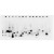 Figure 2. Monoclonal Antibody to detect FLAG conjugated proteins. Twenty-four (24) clones were randomly selected and grown up from gylcerol stocks by inoculating 0.5 mL 2xYT medium. Expression of recombinant proteins was induced by the addition of IPTG. Proteins were purified by nickel affinity chromatograophy and eluted in 40 µL. Samples were diluted 10-fold, transferred to nitrocellulose membrane and blotted using Mab-anti-FLAG™ antibody. Personal Communication: A. Morrison and B. Kloss, NYCOMPS, New York, NY.