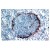 Staining of mouse spleen using MOMA-1 Cat. SM066P. Note the typical staining of metallophilic macrophages in the marginal zone.