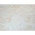 Rat Embryo Paraffin Section stained with Biotin conjugated BMP6 antibody Cat.-No  BM4103B (Clone morph-6.1).
