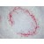Immunohistochemistry: SM066B Metallophilic Macrophages antibody staining of Mouse Spleen Frozen Section.