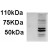 AP22454PU-N AIM2 antibody staining of IFNbeta-treated WI-38 lysate (35µg protein in RIPA buffer). Primary incubation was 1 hour. Detected by chemiluminescence.