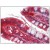Small intestine, Human: Formalin-Fixed, Paraffin-Embedded (FFPE)