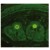Immunofluorescence: AP23436PU Collagen VII antibody staining of Murine Skin Cryosection. The sections was incubated with AP23436PU followed by an appropriate secondary antibody coupled to FITC
