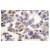 Immunohistochemistry (IHC) analyzes of Wnt-1 antibody (Cat.-No.: AP06617PU-N) in paraffin-embedded Human breast carcinoma tissue.