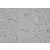 Immunohistochemistry on paraffin Rat skeletal muscle sections