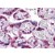 Human Placenta: Formalin-Fixed, Paraffin-Embedded (FFPE)