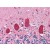 Human Brain, Cortex: Formalin-Fixed, Paraffin-Embedded (FFPE)