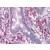 Human Small Intestine: Formalin-Fixed, Paraffin-Embedded (FFPE)