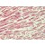 Human Brain, Cortex: Formalin-Fixed, Paraffin-Embedded (FFPE)
