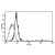 A typical Flow Cytometry staining pattern of Eahy 926 cell line using Cat. No. AM31176AF-N, clone B-P4.