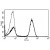 A typical staining pattern with the B-B11 monoclonal antibody of lymphocytes