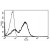 A typical staining pattern with the B-F12 monoclonal antibody of lymphocytes