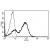 A typical staining pattern with the B-F12 monoclonal antibody of lymphocytes