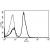 A typical staining pattern with the B-T3 monoclonal antibody of lymphocytes