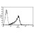 A typical staining pattern with the B-G25 monoclonal antibody of KG-1a cell line
