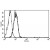 A typical staining pattern with the B-B48 monoclonal antibody of Eahy 926 cell line