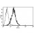 A typical staining pattern with the B-C12 monoclonal antibody of KG1 cell line