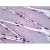 Human Skeletal Muscle: Formalin-Fixed, Paraffin-Embedded (FFPE)