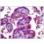 Human Placenta: Formalin-Fixed, Paraffin-Embedded (FFPE).