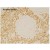 DP3500 LYVE-1 antibody staining of Human Spleen Paraffin section.
The experiment was performed by Prof. Dr. Birte Steiniger, Institute of Anatomy and Cell Biology Robert-Koch-Str. 8, D-35037 Marburg, Germany.