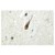 Immunohistochemistry (IHC) analyzes of SR-1A antibody (Cat.-No.: AP06769PU-N) in paraffin-embedded human brain tissue.