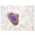 Immunohistochemistry (IHC) analyzes of gp130 antibody (Cat.-No.: AP06506PU-N) in paraffin-embedded human breast tissue.