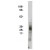 Western blot using FLAP antibody (cat.-No. AP05297SU-N at 5 µg/ml) on Human kidney cell lysate (15 µg/Lane). Secondary antibody: Mouse anti-Rabbit HRP at 1/25k dilution. Visualized using Pierce West Femto substrate system. Exposure for 5 minutes