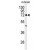 Western blot analysis of ABCD2 Antibody (Center) (Cat. #AP50018PU-N) in mouse brain tissue lysates (35 µg/lane). ABCD2 (arrow) was detected using the purified Pab.