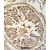 ABCF1 Antibody (C-term) (Cat. #AP50022PU-N) IHC analysis in formalin fixed and paraffin embedded human testis tissue followed by peroxidase conjugation of the secondary antibody and DAB staining. This data demonstrates the use of the ABCF1 Antibody (C-term) for immunohistochemistry. Clinical relevance has not been evaluated.