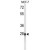 Western blot analysis of ABHDB Antibody (Center) (Cat. #AP50028PU-N) in MCF-7 cell line lysates (35 µg/lane). ABHDB (arrow) was detected using the purified Pab.