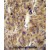 ACF Antibody (C-term) (Cat. #AP50047PU-N) immunohistochemistry analysis in formalin fixed and paraffin embedded human hepatocarcinoma followed by peroxidase conjugation of the secondary antibody and DAB staining. This data demonstrates the use of the ACF Antibody (C-term) for immunohistochemistry. Clinical relevance has not been evaluated.