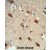 Formalin-fixed and paraffin-embedded human brain tissue reacted with ACP1 Antibody (N-term), which was peroxidase-conjugated to the secondary antibody, followed by DAB staining. This data demonstrates the use of this antibody for immunohistochemistry; clinical relevance has not been evaluated.