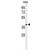 Western blot analysis of ADPRHL2 Antibody (N-term) (Cat. #AP50098PU-N) in Hela cell line lysates (35 µg/lane). ADPRHL2 (arrow) was detected using the purified Pab.