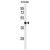 Western blot analysis of AGPAT6 Antibody (N-term) (Cat. #AP50113PU-N) in mouse brain tissue lysates (35 µg/lane).AGPAT6 (arrow) was detected using the purified Pab