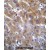 ANKRD18B Antibody (N-term) (Cat. #AP50184PU-N)immunohistochemistry analysis in formalin fixed and paraffin embedded human liver tissue followed by peroxidase conjugation of the secondary antibody and DAB staining.This data demonstrates the use of ANKRD18B Antibody (N-term) for immunohistochemistry. Clinical relevance has not been evaluated.
