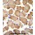 ARL17P1 Antibody (Center) (Cat. #AP50243PU-N)immunohistochemistry analysis in formalin fixed and paraffin embedded human skeletal muscle followed by peroxidase conjugation of the secondary antibody and DAB staining.This data demonstrates the use of ARL17P1 Antibody (Center) for immunohistochemistry. Clinical relevance has not been evaluated.