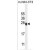 ATP6V0C Antibody (C-term) (Cat. #AP50304PU-N) western blot analysis in mouse NIH-3T3 cell line lysates (35µg/lane).This demonstrates the ATP6V0C antibody detected the ATP6V0C protein (arrow).