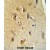 B4GALT6 Antibody (C-term) (Cat. #AP50332PU-N) immunohistochemistry analysis in formalin fixed and paraffin embedded human brain tissue followed by peroxidase conjugation of the secondary antibody and DAB staining. This data demonstrates the use of the B4GALT6 Antibody (C-term) for immunohistochemistry. Clinical relevance has not been evaluated.